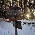 Zwei Wege führen zur gemütlichen Tuffalm