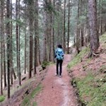 Auf sanften Waldpfaden von Ruine zu Ruine