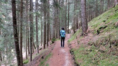 Auf sanften Waldpfaden von Ruine zu Ruine