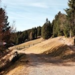 Zunächst folgen wir dem Weg Nr. 4/8 zu den Gampenwiesen