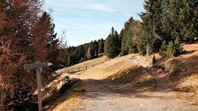 Zunächst folgen wir dem Weg Nr. 4/8 zu den Gampenwiesen