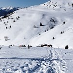 Abstieg zur Kreuzwiesenalm