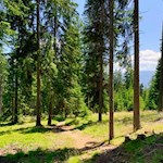 Der Rückweg von der Pichlerhütte erfolgt auf dem Hinweg
