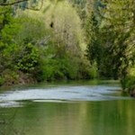 Malerische Rienz-Auenlandschaft 