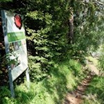 Anregende Informationstafeln säumen den Kräuterweg