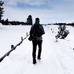 Sanft steigt der Wanderweg in Richtung Rinderplatz Hütte an