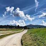 "Wem Gott will rechte Gunst erweisen, / Den schickt er in die weite Welt […]" (Eichendorff)