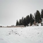 Von dunklen Tannen und Fichten umsäumt, lädt die Wurzeralm zur Einkehr ein