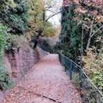 Die Trockenmauern längs des Weges sind ökologische Nischen für eine Vielzahl von Kleintieren und Pflanzen