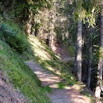 "Wem Gott will rechte Gunst erweisen, / Den schickt er in die weite Welt, / Dem will er seine Wunder weisen / In Berg und Wald und Strom und Feld" (Eichendorff)