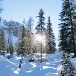 Die milde Wintersonne taucht die Landschaft in warme Farben