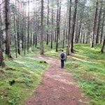 Vom Sonnenburger Kopf fällt der Weg sanft ab