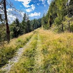 Durch Wald und Wiesen zur Maurerberghütte