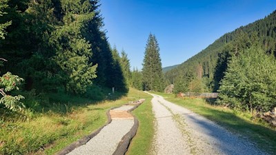 Barfußweg am Ratschinger Talweg