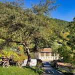 Der Rückweg führt durch den beschaulichen Weiler Oberried