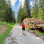 Through the forest in the direction of Passo Gardena pass