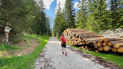 Through the forest in the direction of Passo Gardena pass