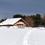 Rinderplatz-Hütte-auf-der-Villanderer-Alm