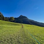 Vor der Kulisse des Tschafon in Richtung Hofer Alpl