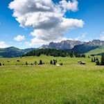 Die weiten Almwiesen der Seiser Alm vor der Kulisse der Rosszähne