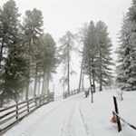 Durch den winterlich verschneiten Wald zur Ackerboden Alm