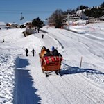 Nostalgische Pferdekutschen traben an uns vorbei