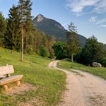 Sanft schlängelt sich der Wanderweg zum Völser Weiher