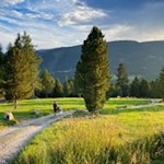 Wandern mit Hund auf der Villanderer Alm