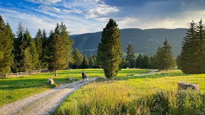 Wandern mit Hund auf der Villanderer Alm