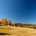 Gleichsam von Malerhand...