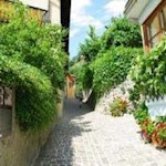 Am-Beginn-des-Archeopfades-in-Stufels