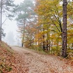 Diese Wanderung ist im Herbst besonders empfehlenswert