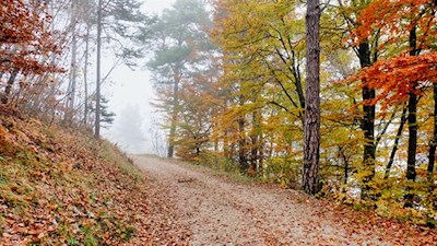 Diese Wanderung ist im Herbst besonders empfehlenswert