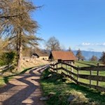 Auf dem Weg Nr. 7 zurück nach Jenesien