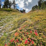 Im Herbst leuchtet die Landschaft um die Maurerberghütte in den schönsten Farben