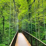 Hängebrücke Gaulschlucht 