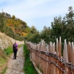Wandern auf dem Keschtnweg von Klausen nach Feldthurns