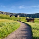 Durch die sanft gewellten Almwiesen zur Gstatsch Schwaige