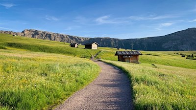 Durch die sanft gewellten Almwiesen zur Gstatsch Schwaige