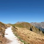 Vor der Kulisse der Telfer Weißen zur Jogilealm