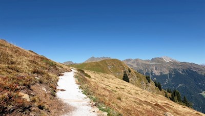 Vor der Kulisse der Telfer Weißen zur Jogilealm