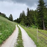 Der breite Anstiegsweg zur Tesselberger Alm