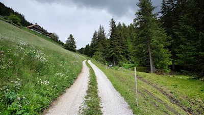 Der breite Anstiegsweg zur Tesselberger Alm