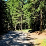 Im kaum merklichen Anstieg in Richtung Bad Ratzes