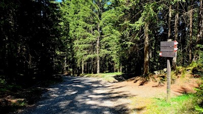Im kaum merklichen Anstieg in Richtung Bad Ratzes