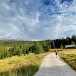 Im sanften Anstieg zur Pralongia Hütte