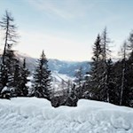 Auf der Rosskopf Rodelbahn erschließen sich immer wieder Blicke ins Tal