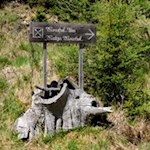 Auf zur gemütlichen Moarhofalm!