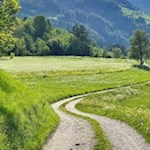 Sanft schlängelt sich der Wiesenweg nach Elzenbaum und zur Burg Reifenstein
