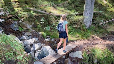 Durch den Wald zur Kerschbaumeralm